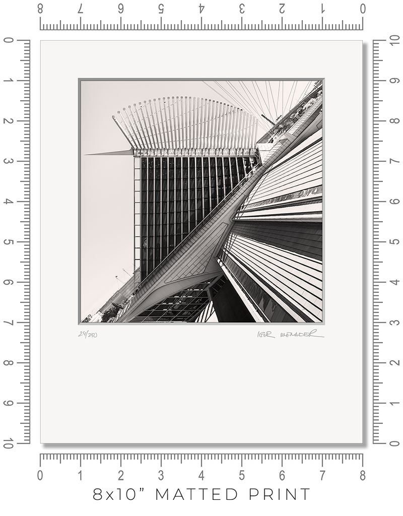 Calatrava VIII - Igor Menaker Fine Art Photography