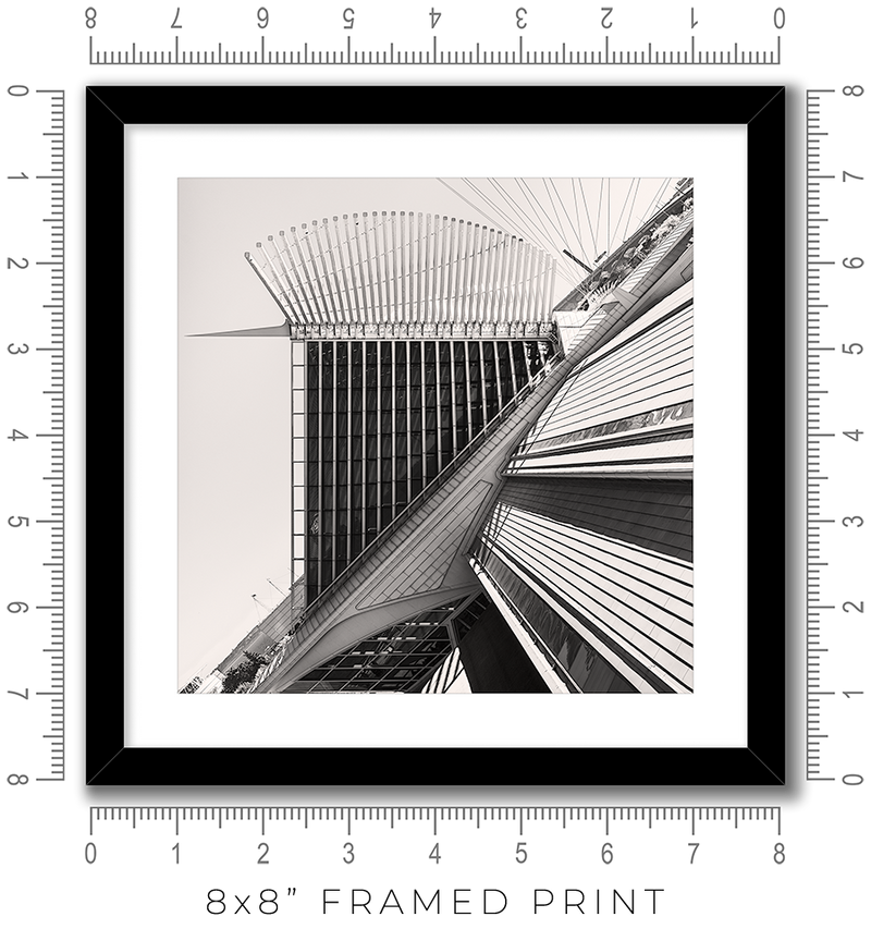 Calatrava VIII - Igor Menaker Fine Art Photography
