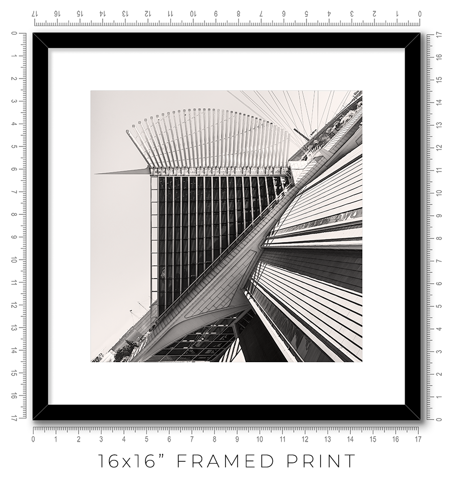 Calatrava VIII - Igor Menaker Fine Art Photography