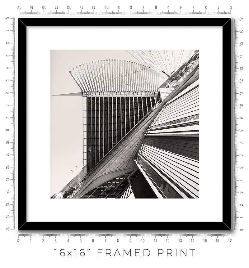 Calatrava VIII - Igor Menaker Fine Art Photography