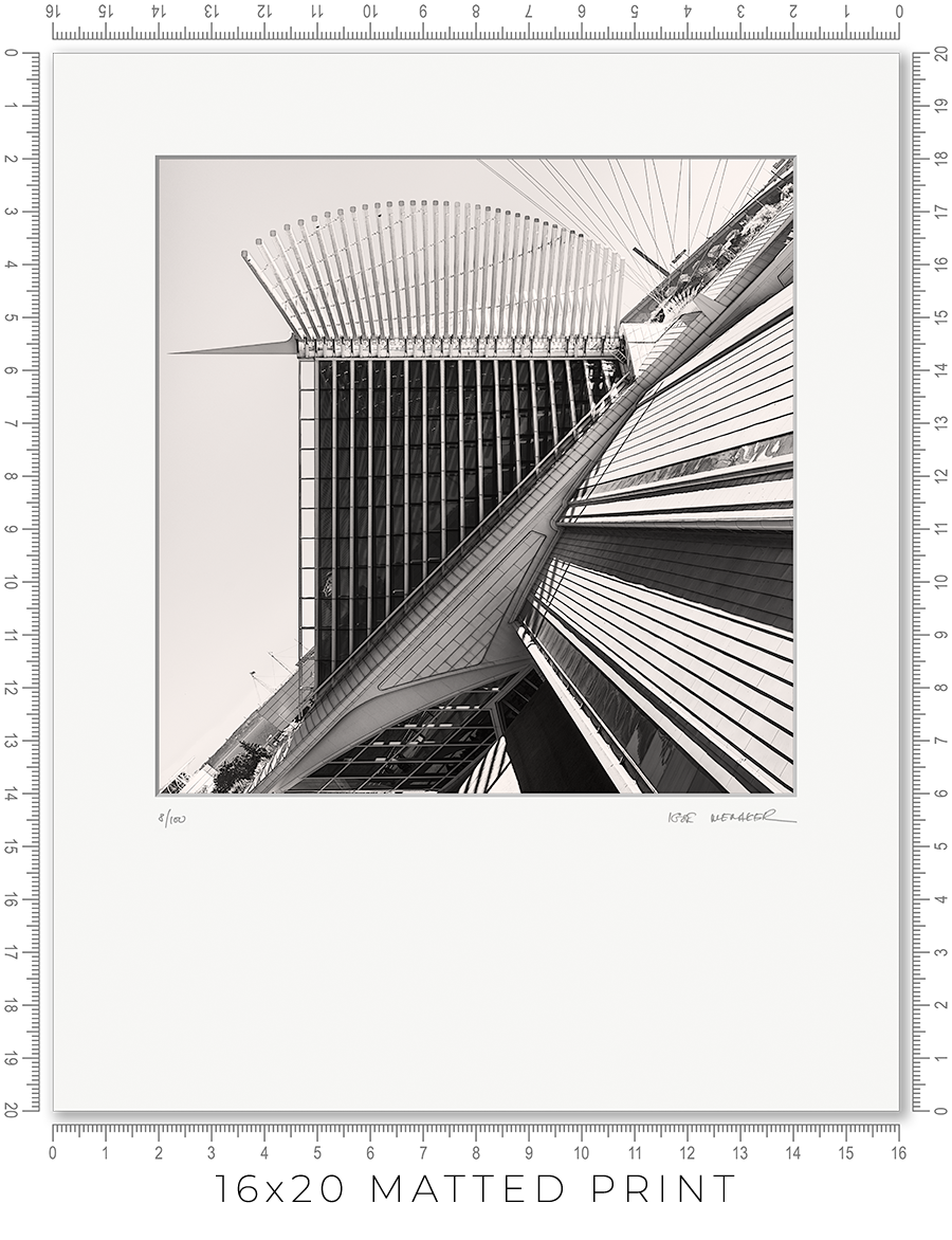 Calatrava VIII - Igor Menaker Fine Art Photography