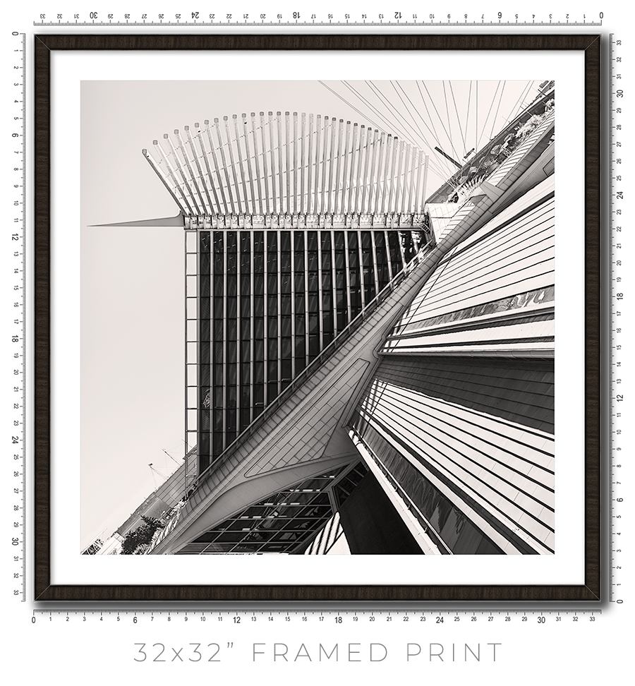 Calatrava VIII - Igor Menaker Fine Art Photography