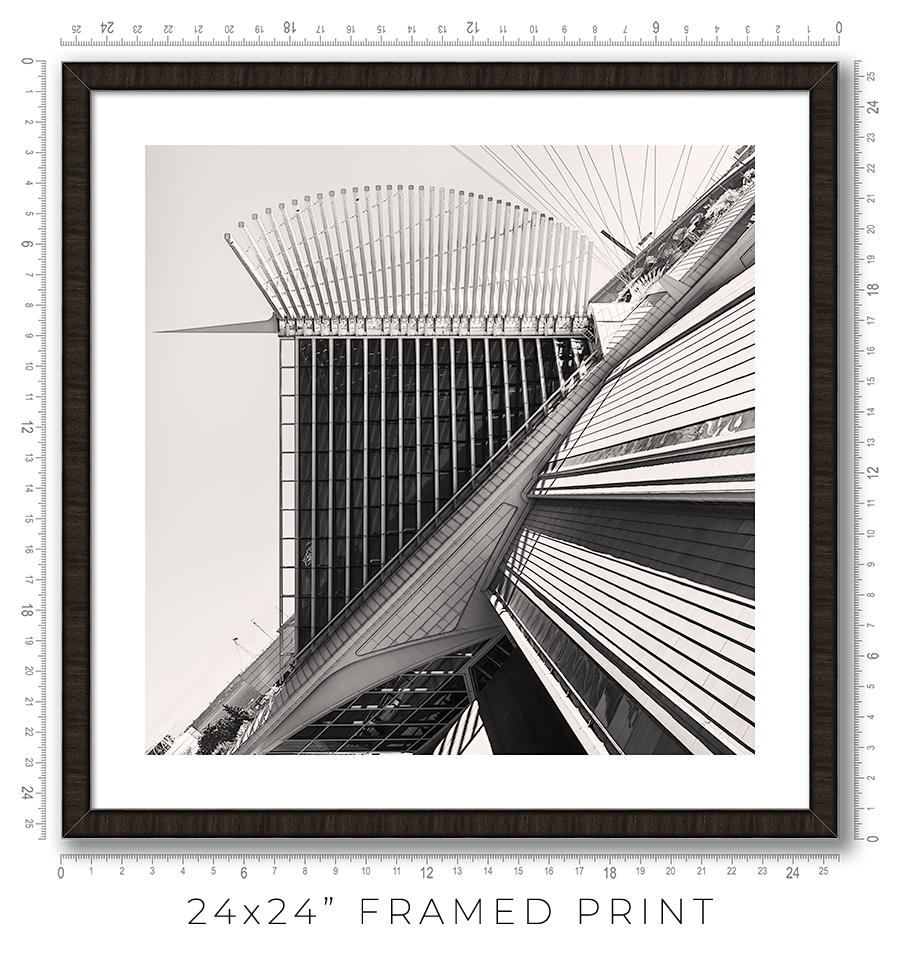Calatrava VIII - Igor Menaker Fine Art Photography