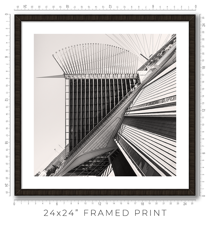 Calatrava VIII - Igor Menaker Fine Art Photography