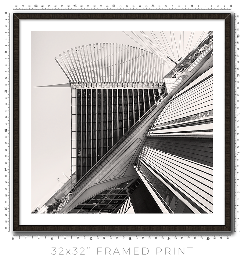 Calatrava VIII - Igor Menaker Fine Art Photography