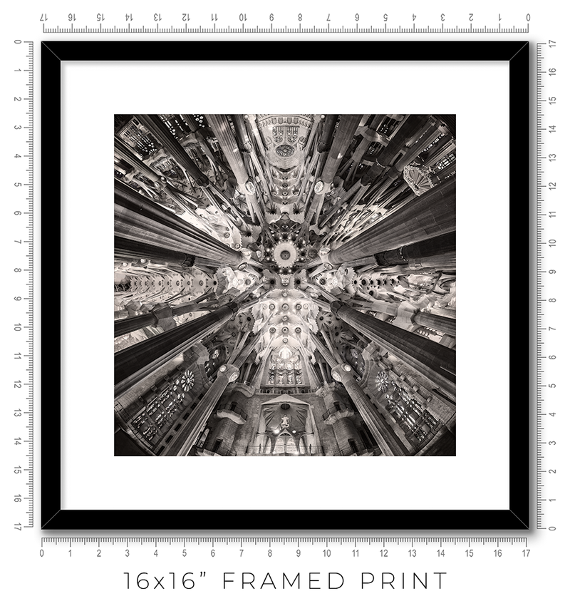 Sagrada Familia II