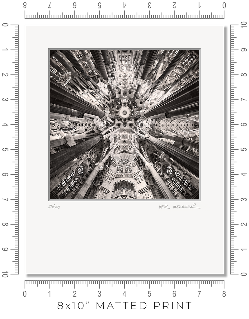 Sagrada Familia III