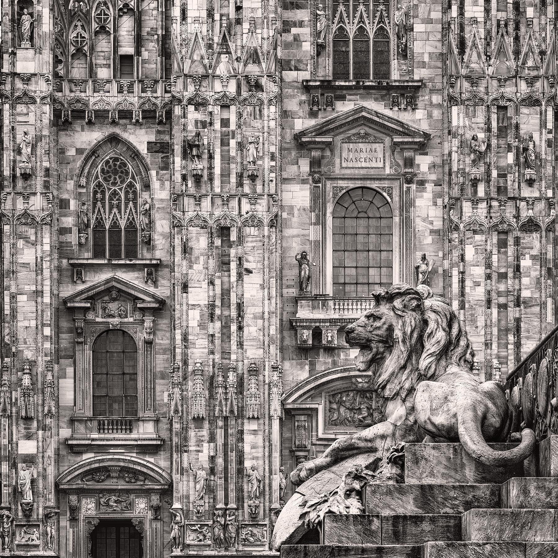 Milan Duomo Lion - Igor Menaker Fine Art Photography
