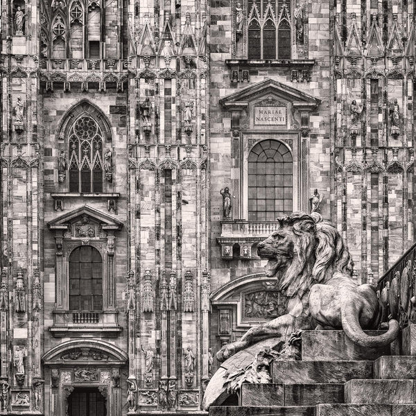 Milan Duomo Lion