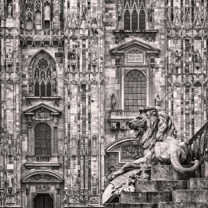 Milan Duomo Lion