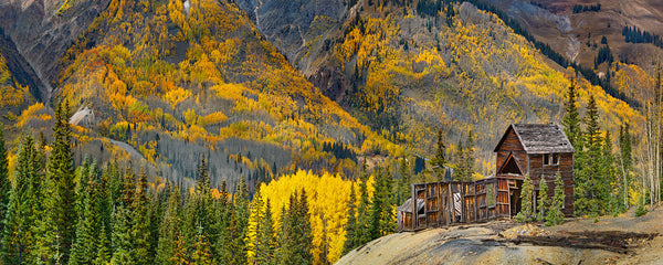 Colorado Gold - Igor Menaker Fine Art Photography