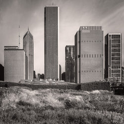 Lurie Garden - Igor Menaker Fine Art Photography