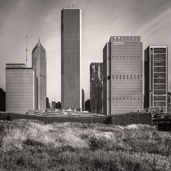 Lurie Garden - Igor Menaker Fine Art Photography
