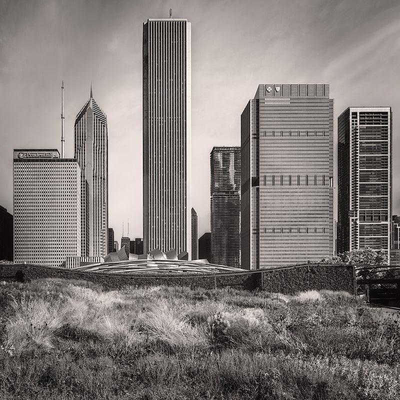 Lurie Garden - Igor Menaker Fine Art Photography