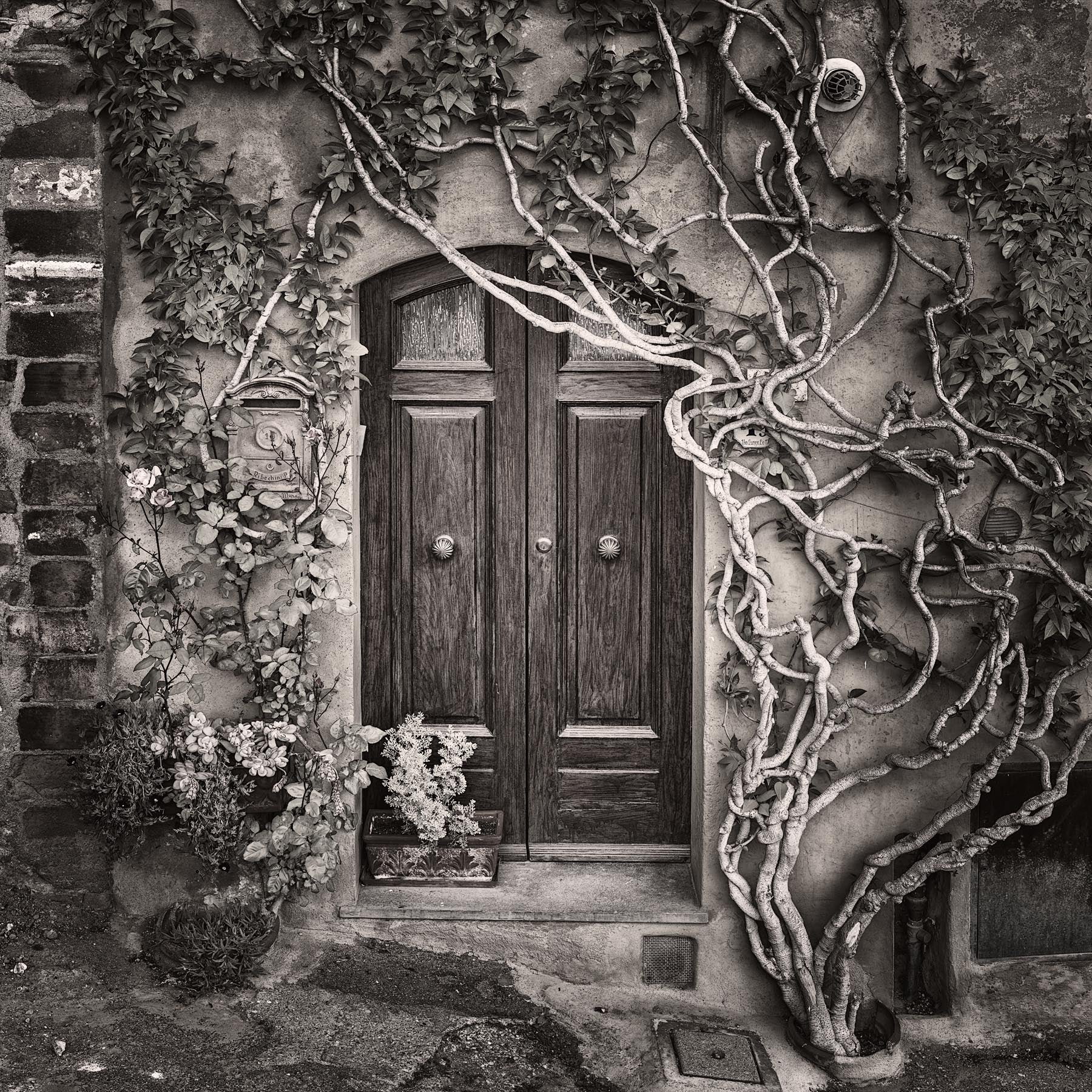 Maggio - Igor Menaker Fine Art Photography