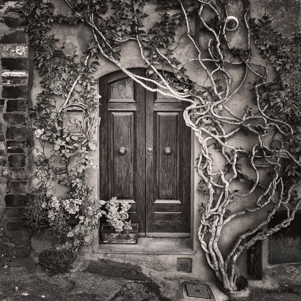 Maggio - Igor Menaker Fine Art Photography