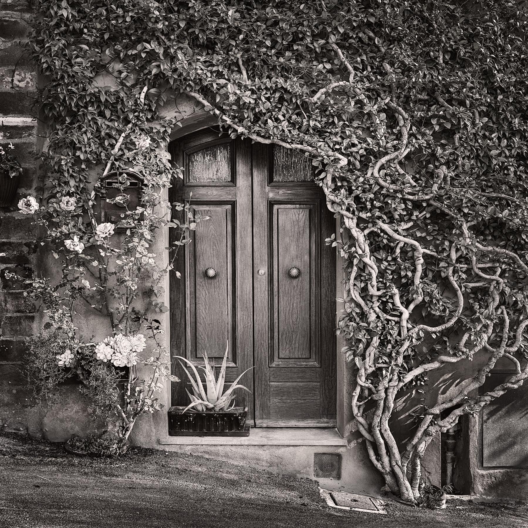 Ottobre - Igor Menaker Fine Art Photography