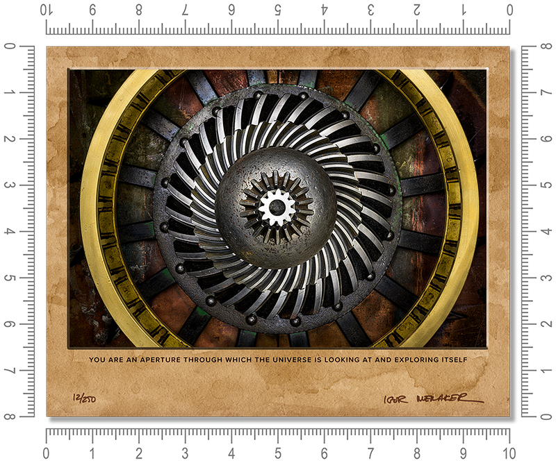 You are an aperture through which the universe is looking at and exploring itself