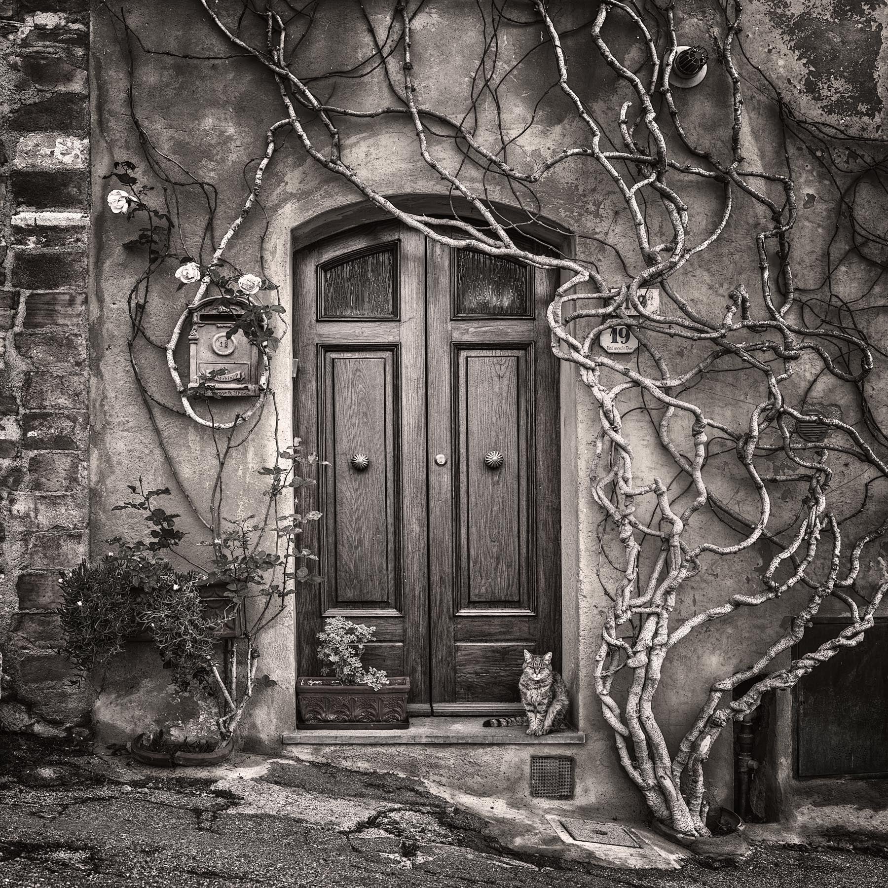 Tales of Tuscany - Igor Menaker Fine Art Photography