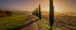 Tuscan Sunrise - Igor Menaker Fine Art Photography